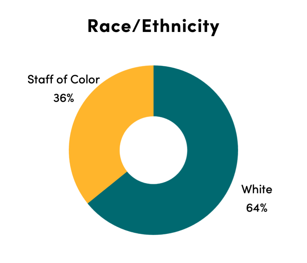 Chart of all staff race/ethnicity: white (64%), staff of color (36%)