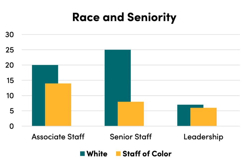 Chart of race and seniority