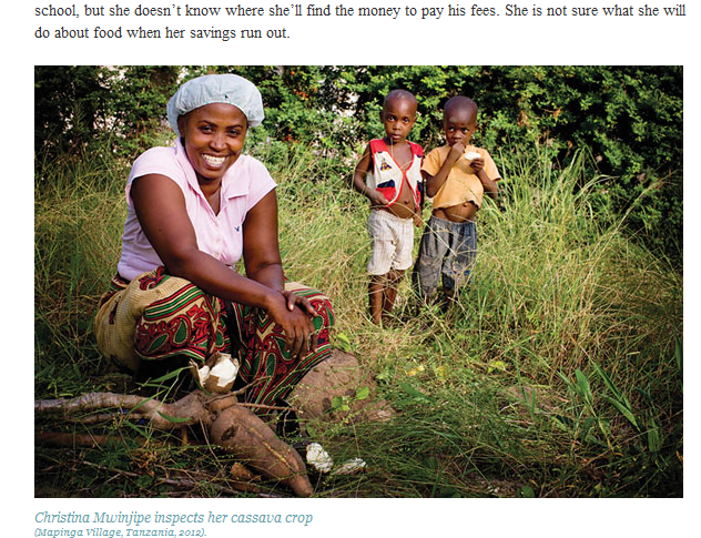 Description: Christina Mwinjipe inspects her cassava crop
