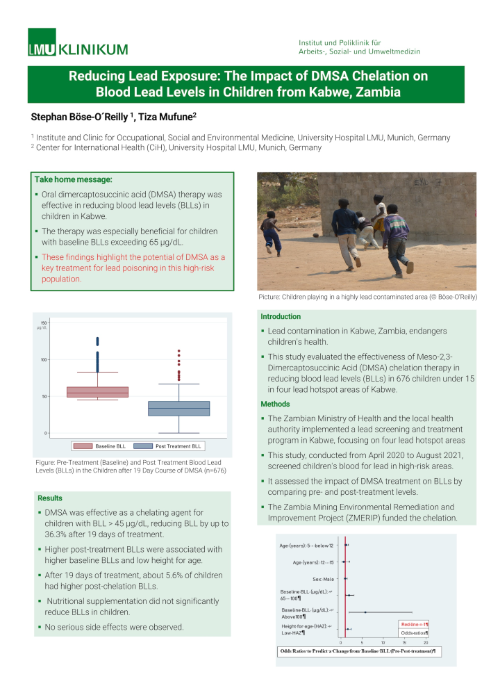 Reducing Lead Exposure: The Impact of DMSA Chelation on Blood Lead Levels in Children from Kabwe, Zambia
