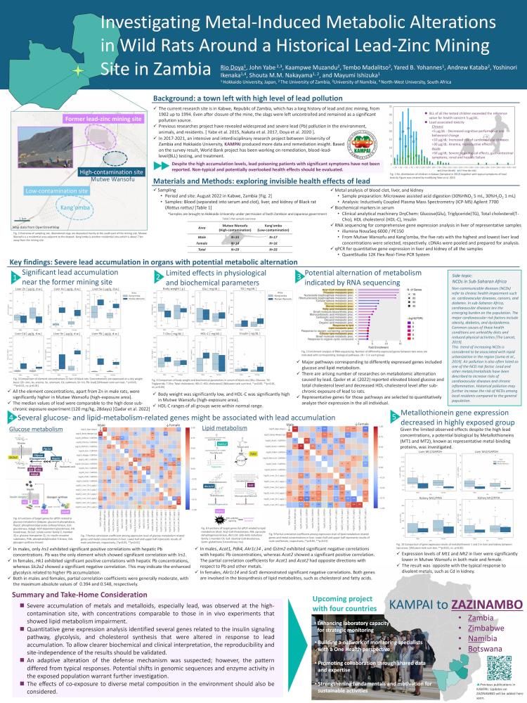 Investigating Metal-Induced Metabolic Alterations in Wild Rats Around a Historical Lead-Zinc Mining Site in Zambia