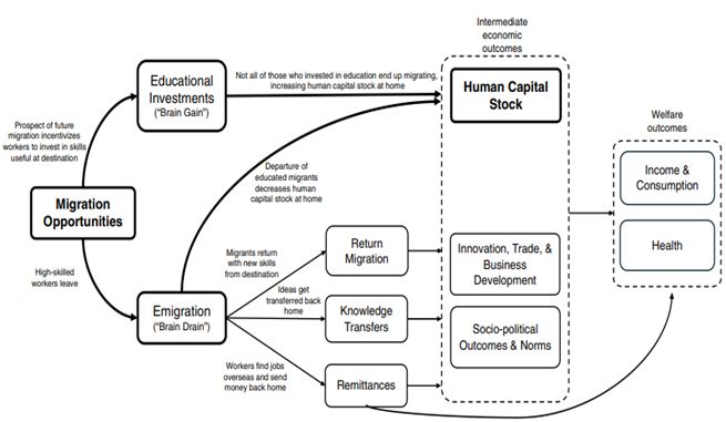 Five of My Human Capital, How migration affects human capital in the sending country