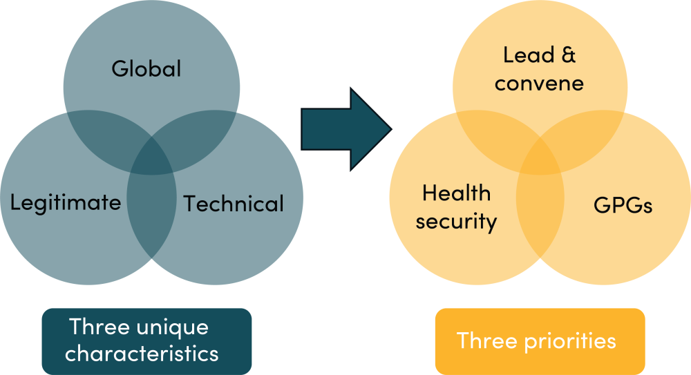 Figure 1. Three unique characteristics of the WHO, and three proposed priorities