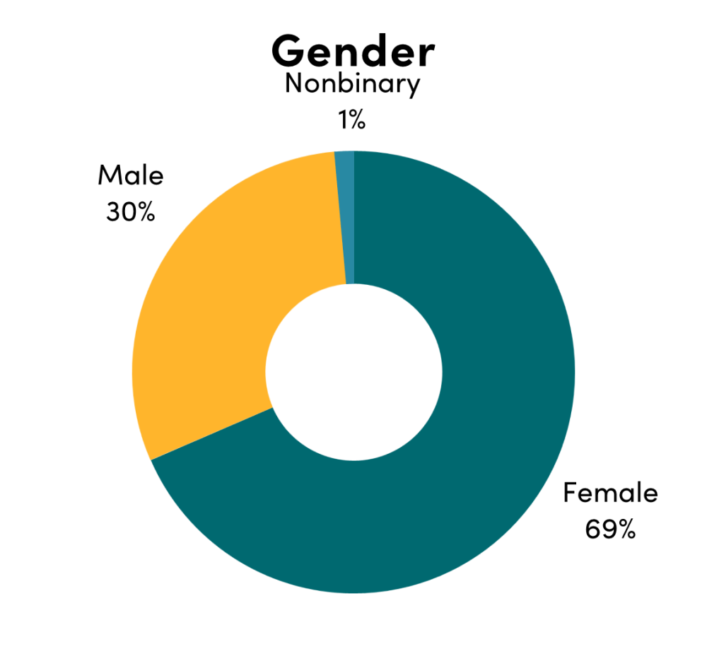 Chart of overall gender breakdown: female (69%), male (30%), Non-binary (1%)