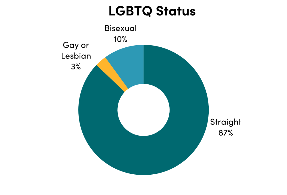 CGD staff by lgbtq status: straight (87%), bisexual (10%), gay or lesbian (3%)