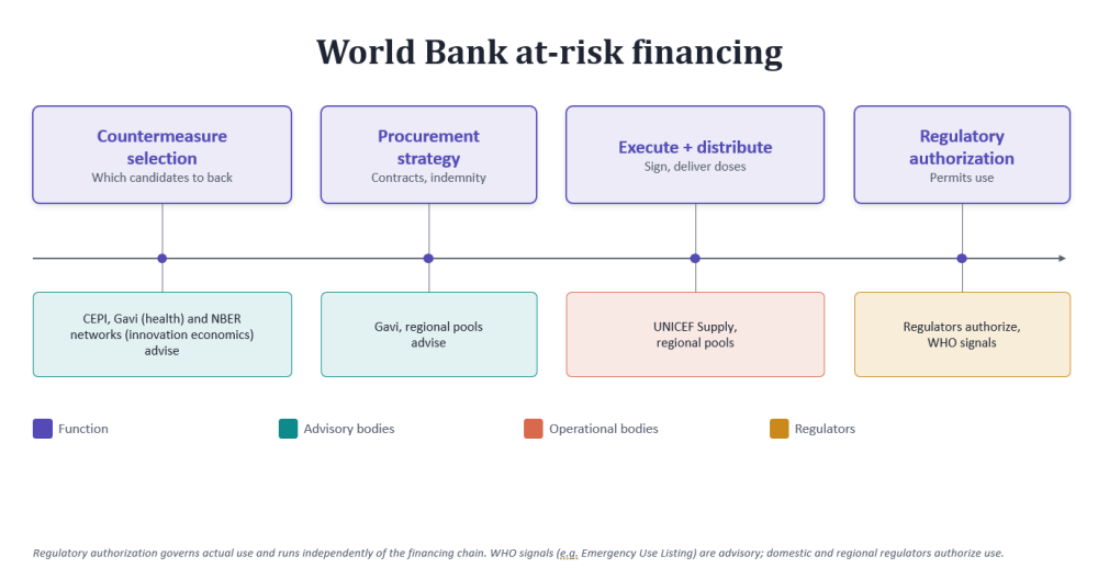 Getting the World Bank's, Figure 1. World Bank at-risk financing functions