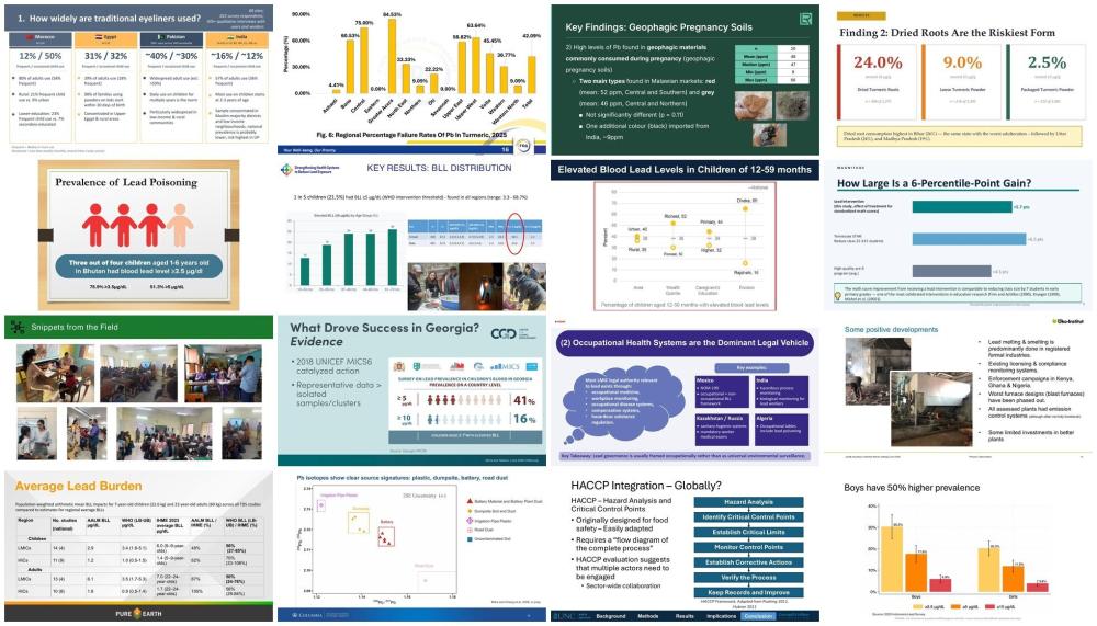 Collage of various research posters at the CGD conference on global lead exposure 