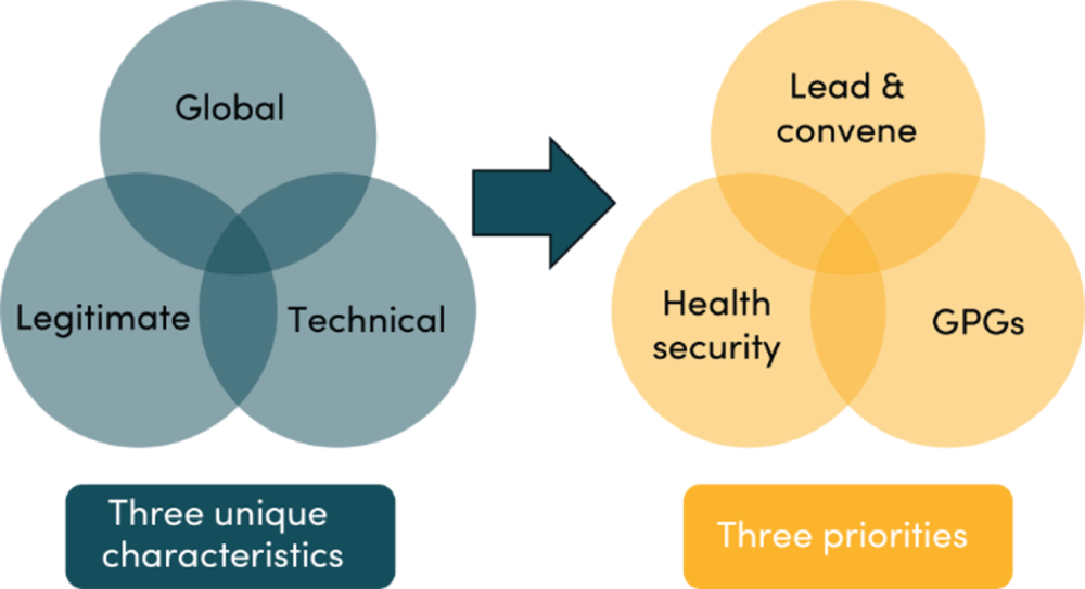Image showing three unique characteristics and priorities of the WHO