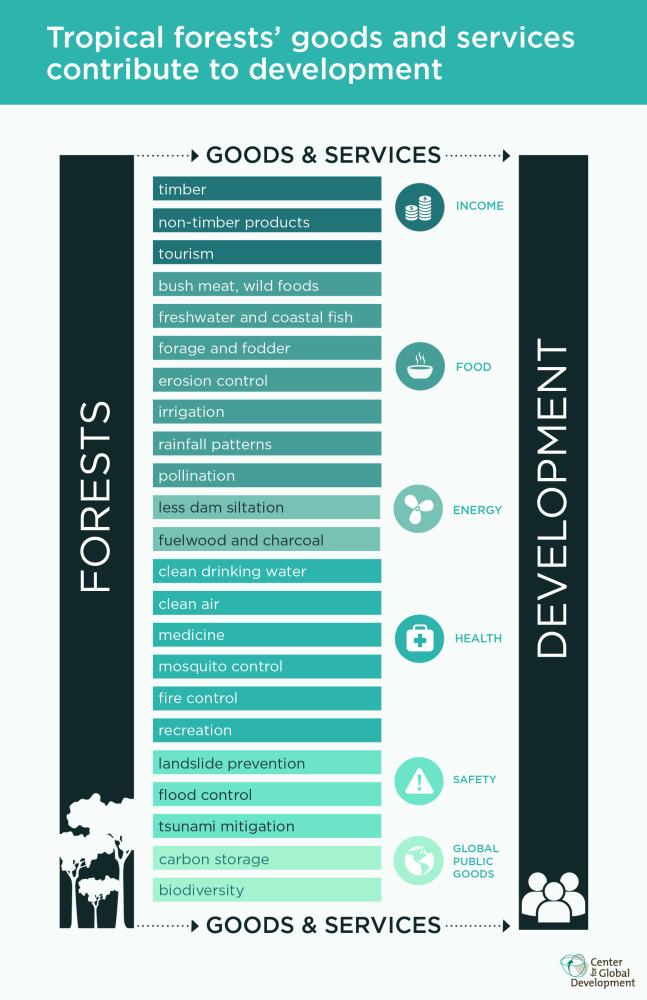 Why Quantifying the Value of Tropical Forests Matters for Development