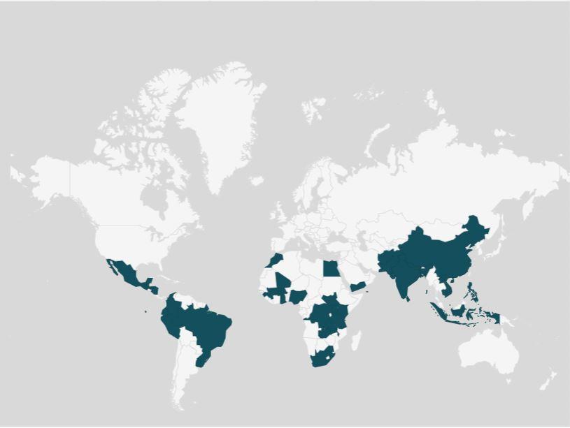 A map of the countries where the large-scale interventions to improve girls’ education have been implemented