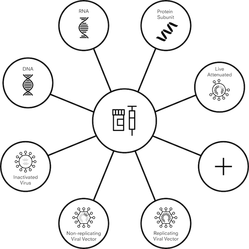 A chart showing vaccine candidate platforms