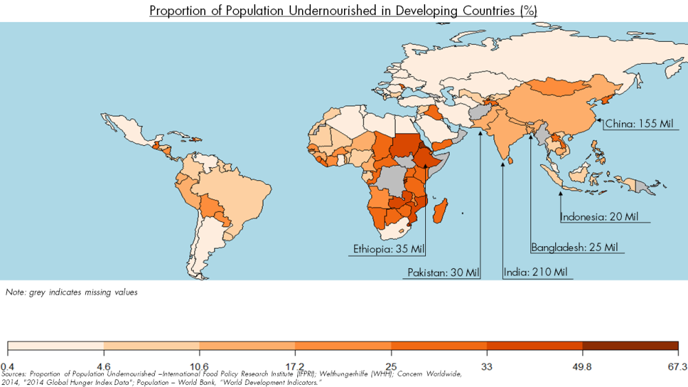 Food Security in Developing Countries: Is There a Role for the WTO?