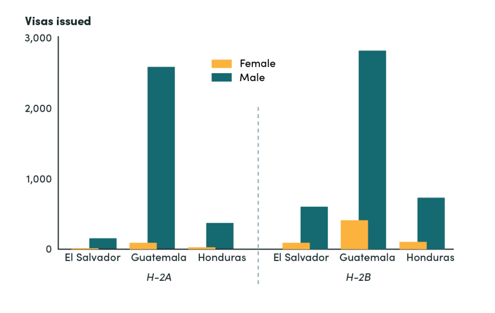 H-2 visas issued to people from the Northern Triangle by sex, FY2019