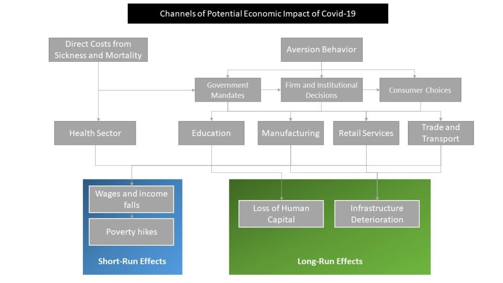 A chart of the various avenues through which the pandemic could affect economies.