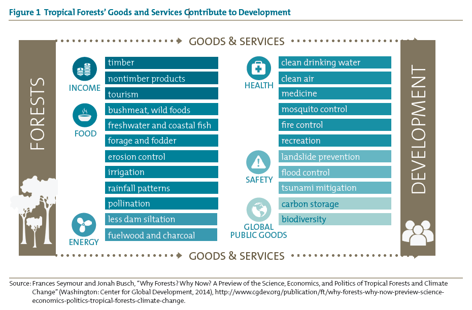 Figure 1 Tropical Forests’ Goods and Services Contribute to Development