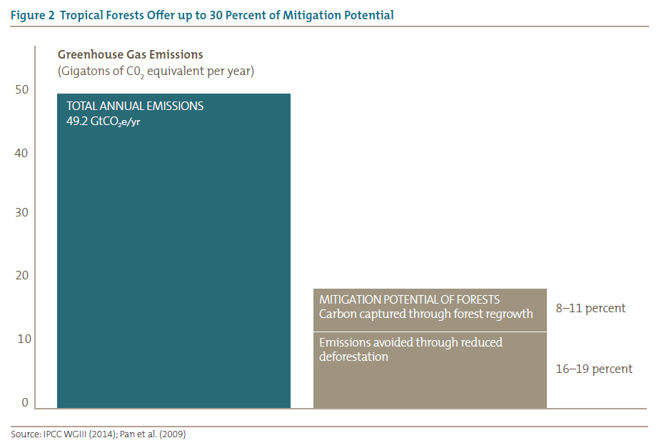Figure 2 Tropical Forests Offer up to 30 Percent of Mitigation Potential