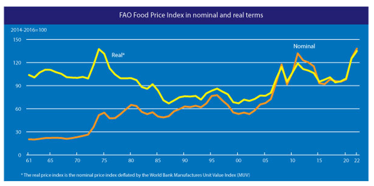 A chart showing the FAO food price index