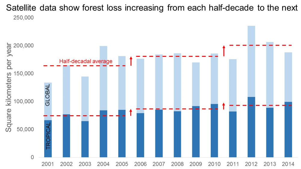 Figure 3 Sat. data show forest loss increasing each half-decade