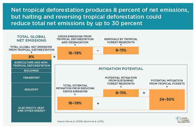 Reducing deforestation would could reduce emissions by up to 30 percent