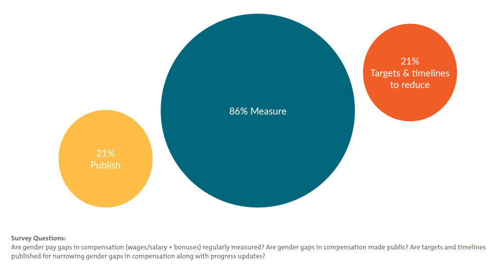 A figure showing pay gaps in DFIs