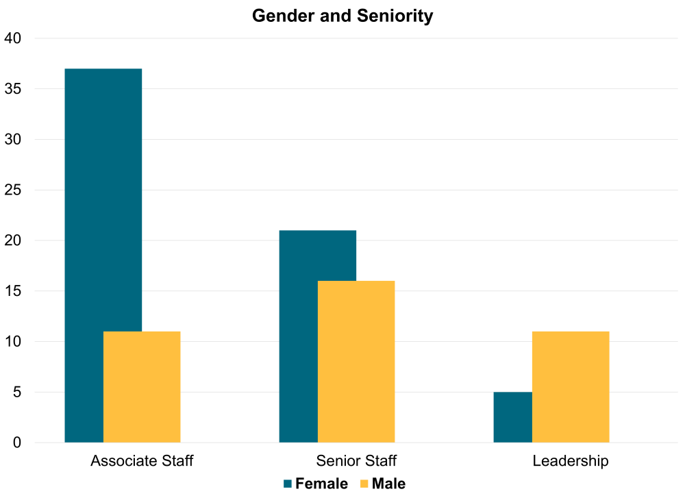 Gender and seniority at CGD