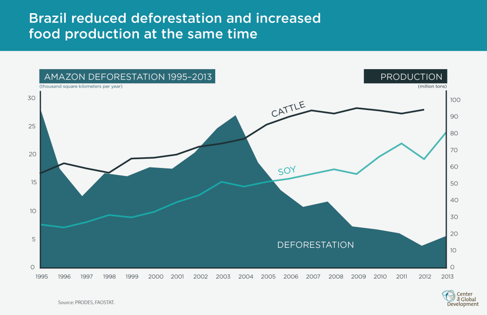 Can Brazil stay the course on reducing deforestation?
