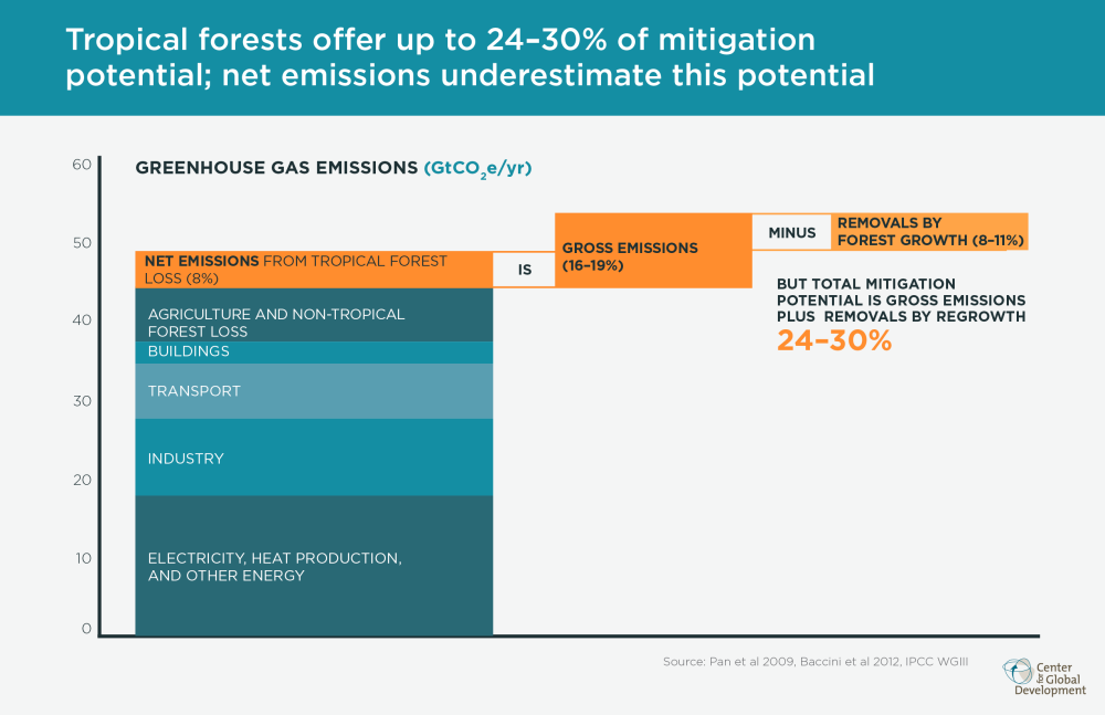 Tropical forest mitigation potential