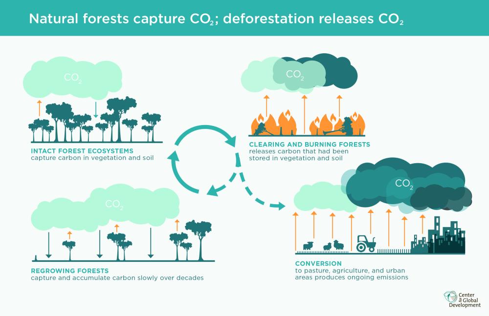 GHG emissions