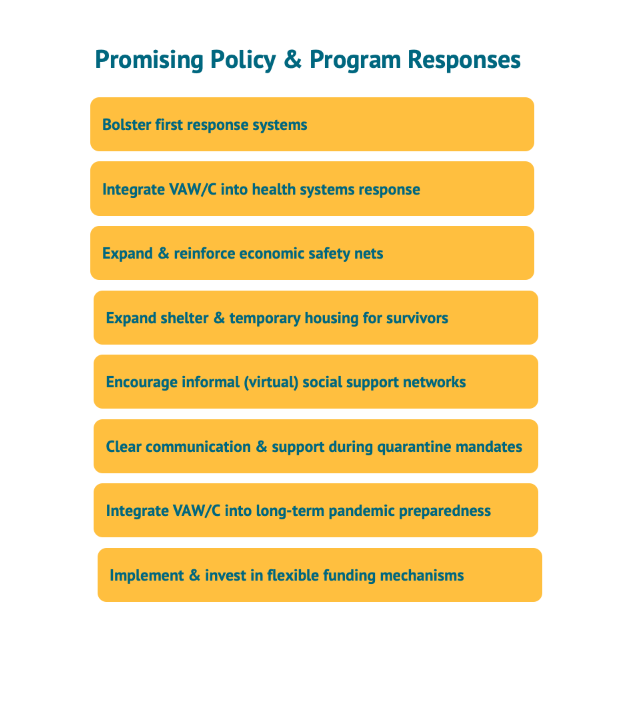 A figure showing promising policy and program responses
