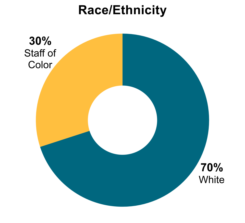 chart of all CGD staff race/ethnicity
