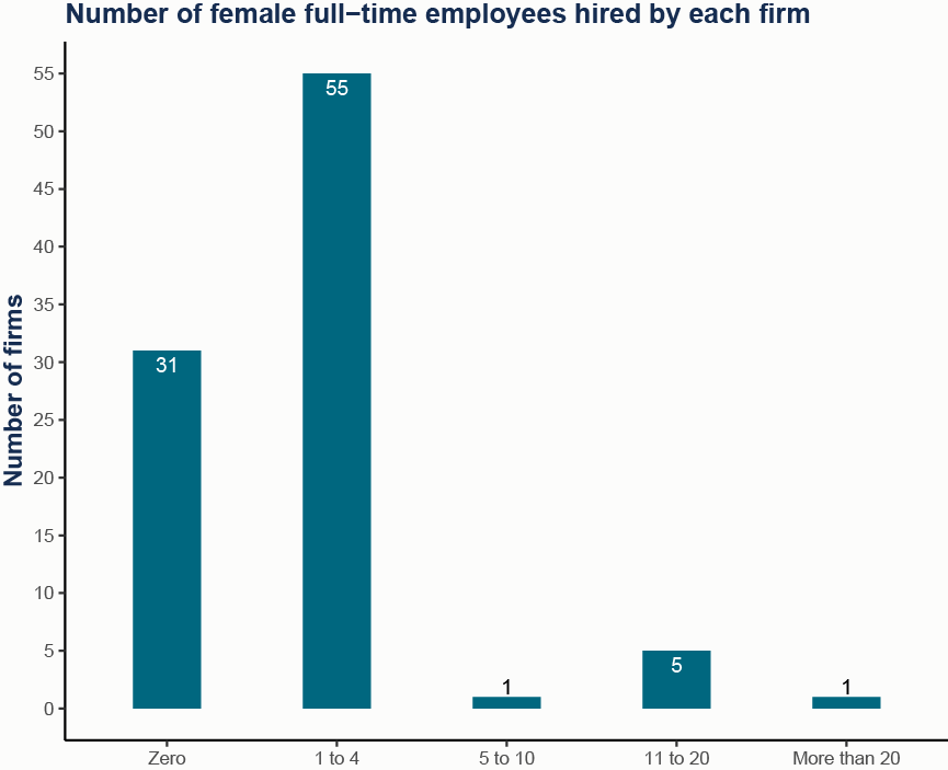 Number of female employees (full time) at firms