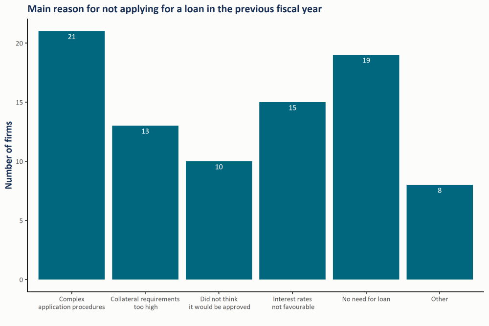 Chart showing the main reasons entrepreneurs have not applied for a job last year