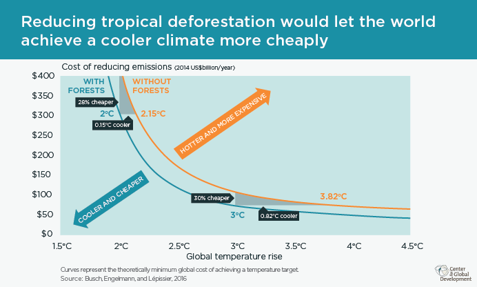 Reducing deforestation would help prevent climate change more cheaply