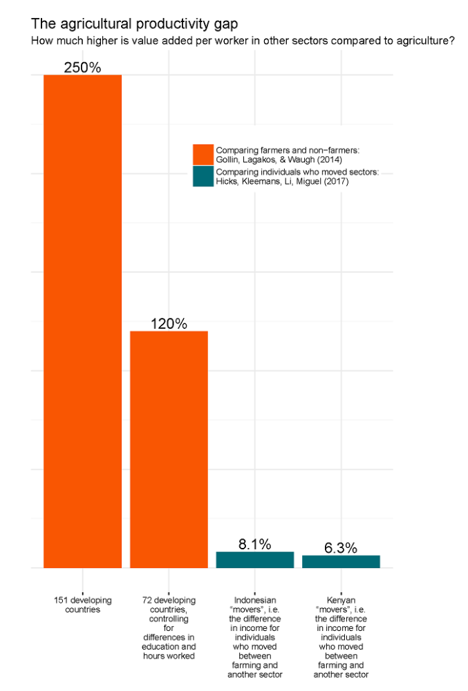 The agricultural productivity gap