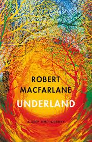 Book cover of Underland: A Deep Time Journey