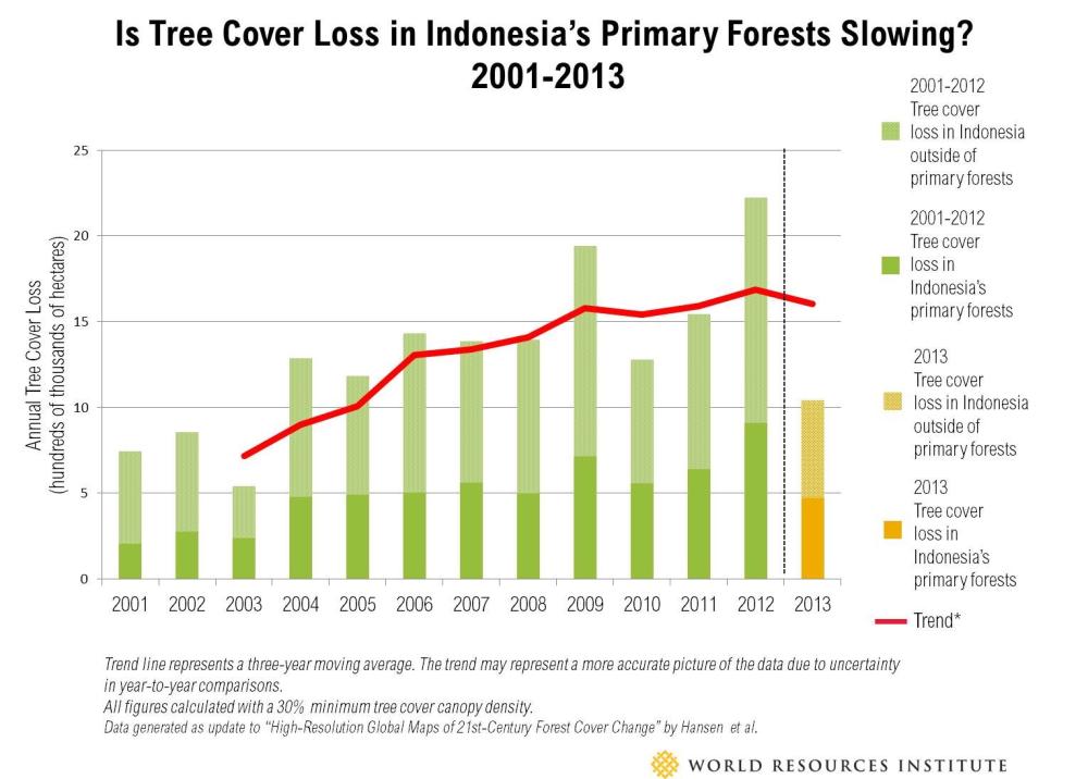 tree cover loss indonesia