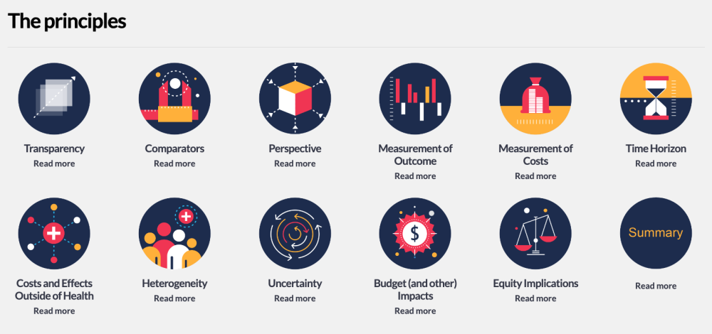 iDSI principles
