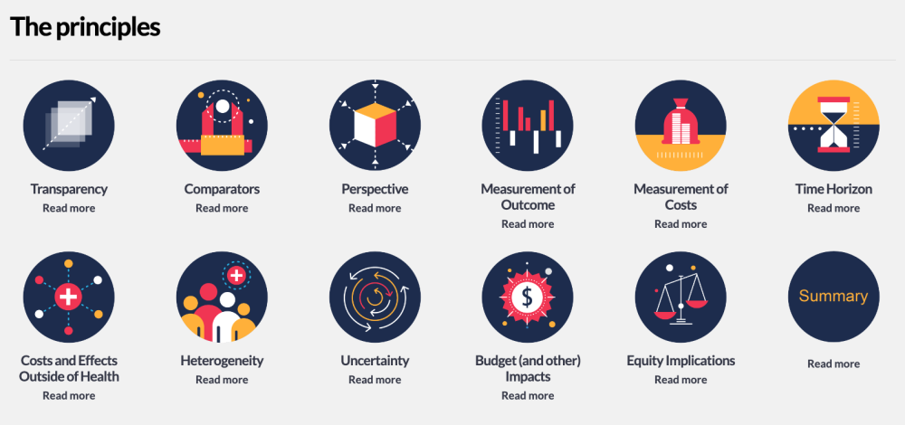 iDSI principles 