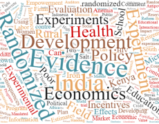 A word cloud of the most commonly used words in the titles of Esther Duflu's research papers and other publications.